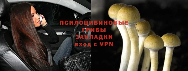 мдпв Зеленодольск