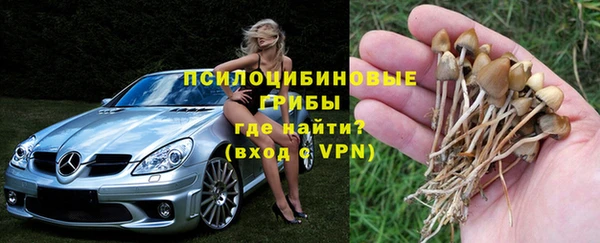 мдпв Зеленодольск
