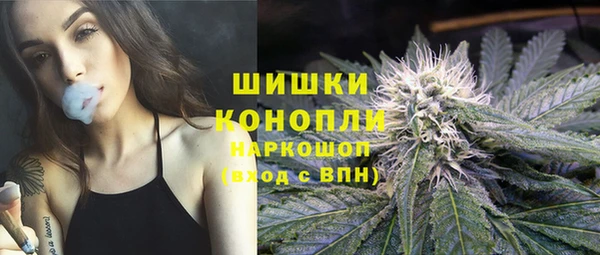 мдпв Зеленодольск