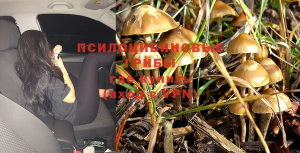 мдпв Зеленодольск
