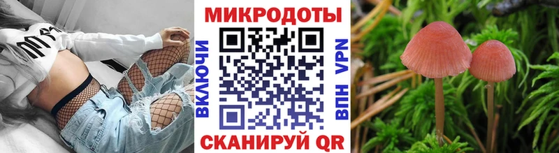Галлюциногенные грибы мицелий  Купить  Духовщина 